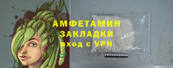 PSILOCYBIN Алзамай