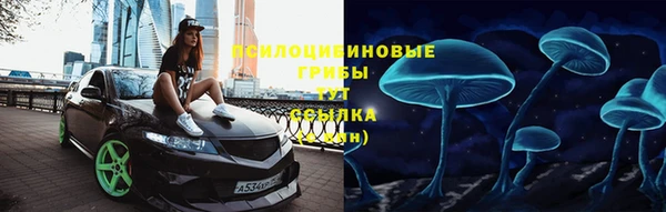 ALPHA PVP Осташков
