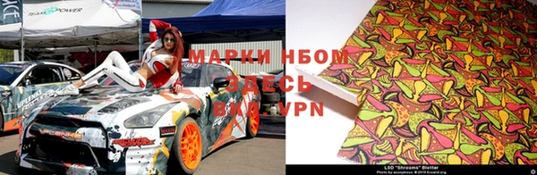 ГАЛЛЮЦИНОГЕННЫЕ ГРИБЫ Абаза