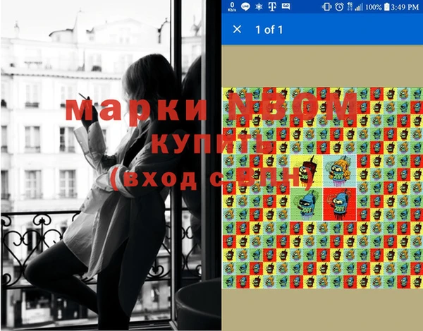 PSILOCYBIN Алзамай