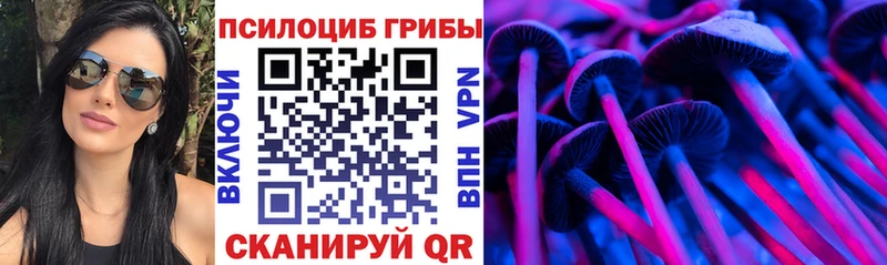 Псилоцибиновые грибы Psilocybine cubensis  Харабали 